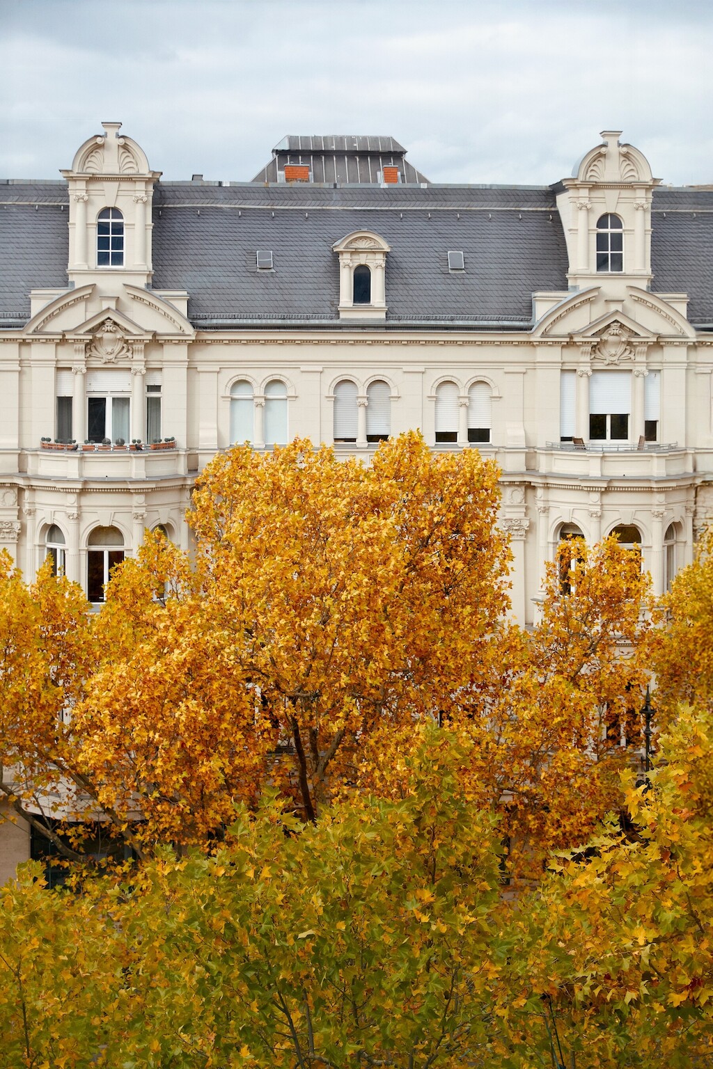 251024 PXR Gruppe 0820